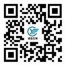 手機(jī)網(wǎng)站